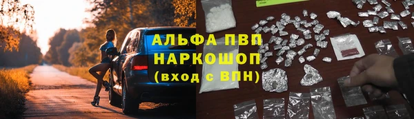 индика Алексин