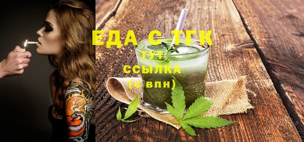 индика Алексин