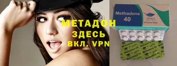индика Алексин