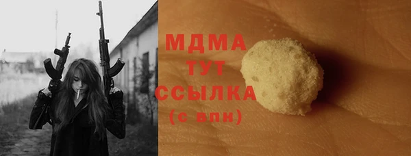 индика Алексин