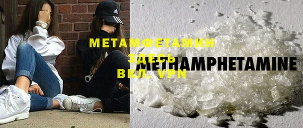 индика Алексин